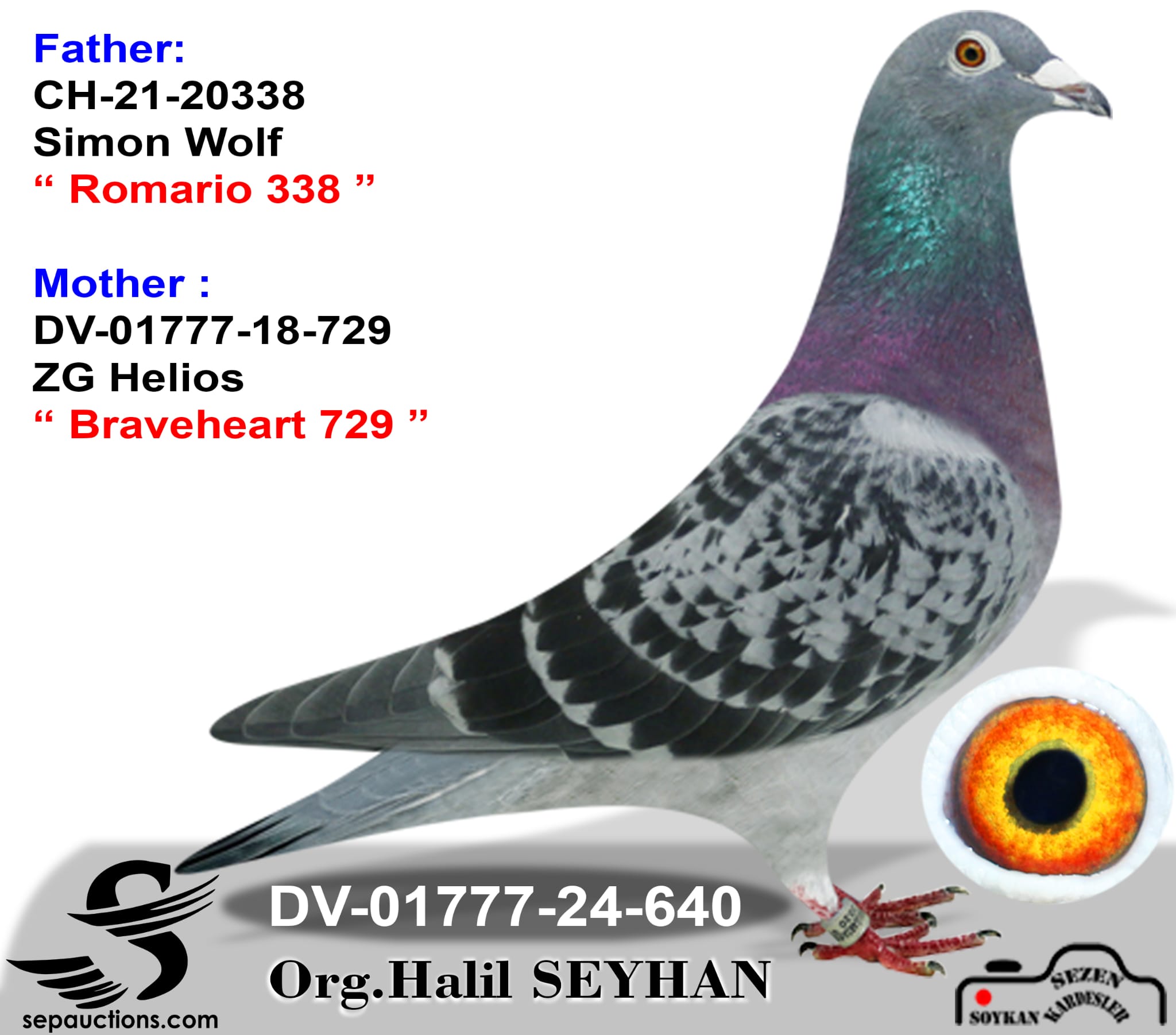 TR-45-25-12345