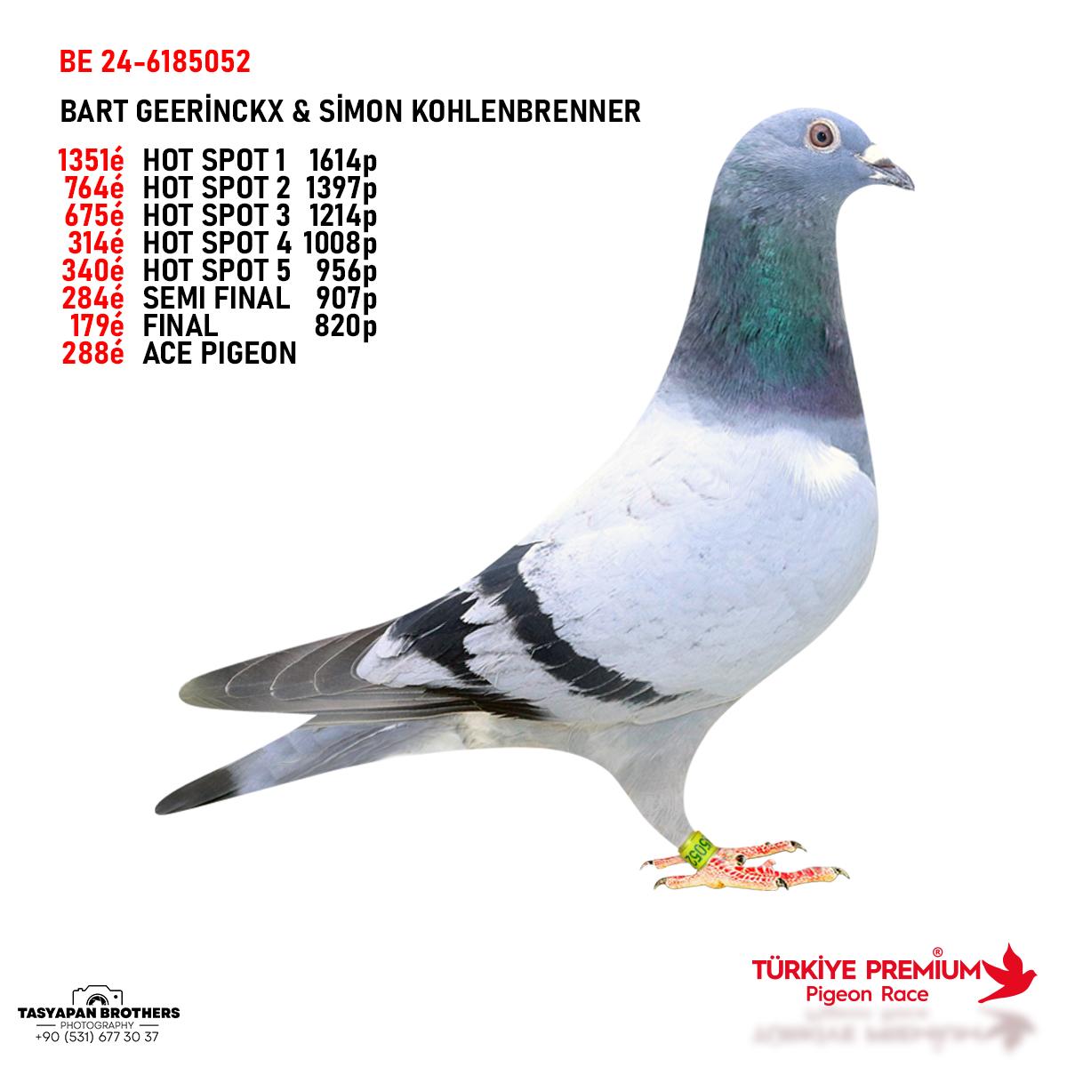BE-24-6185052