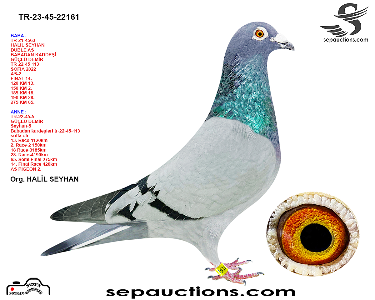 TR-23-45-22161