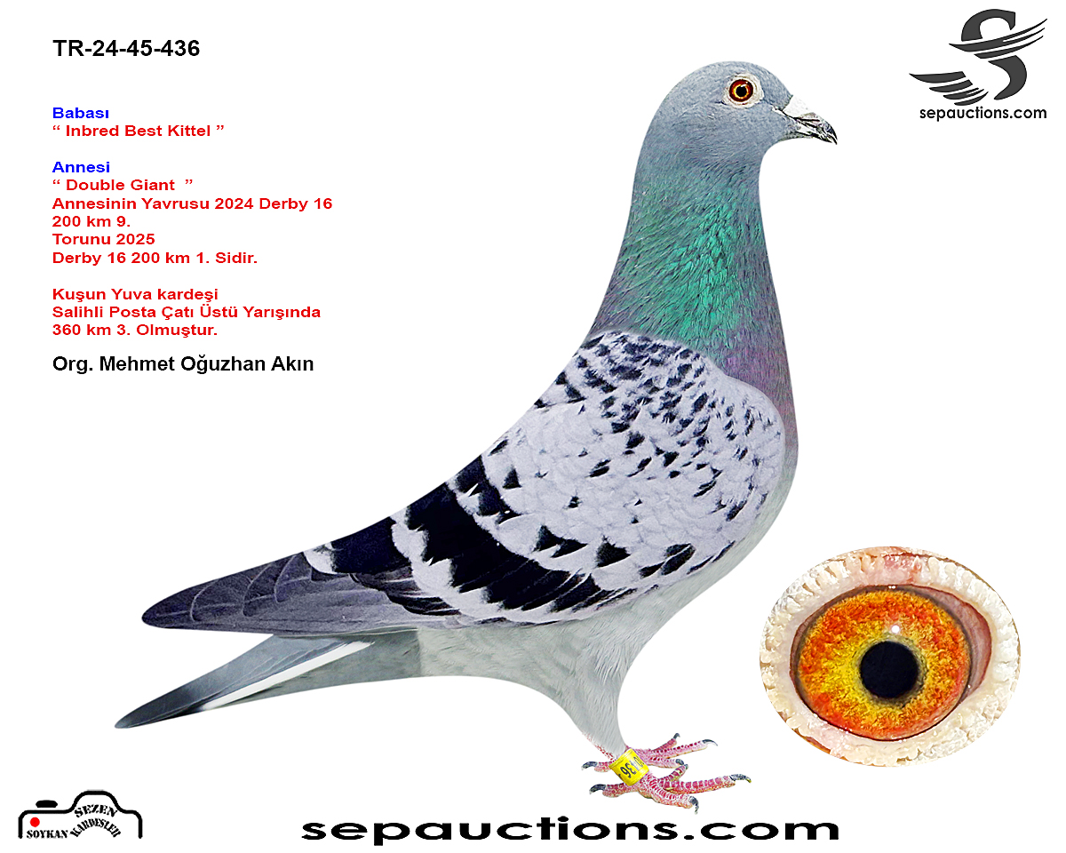 TR-24-45-00436