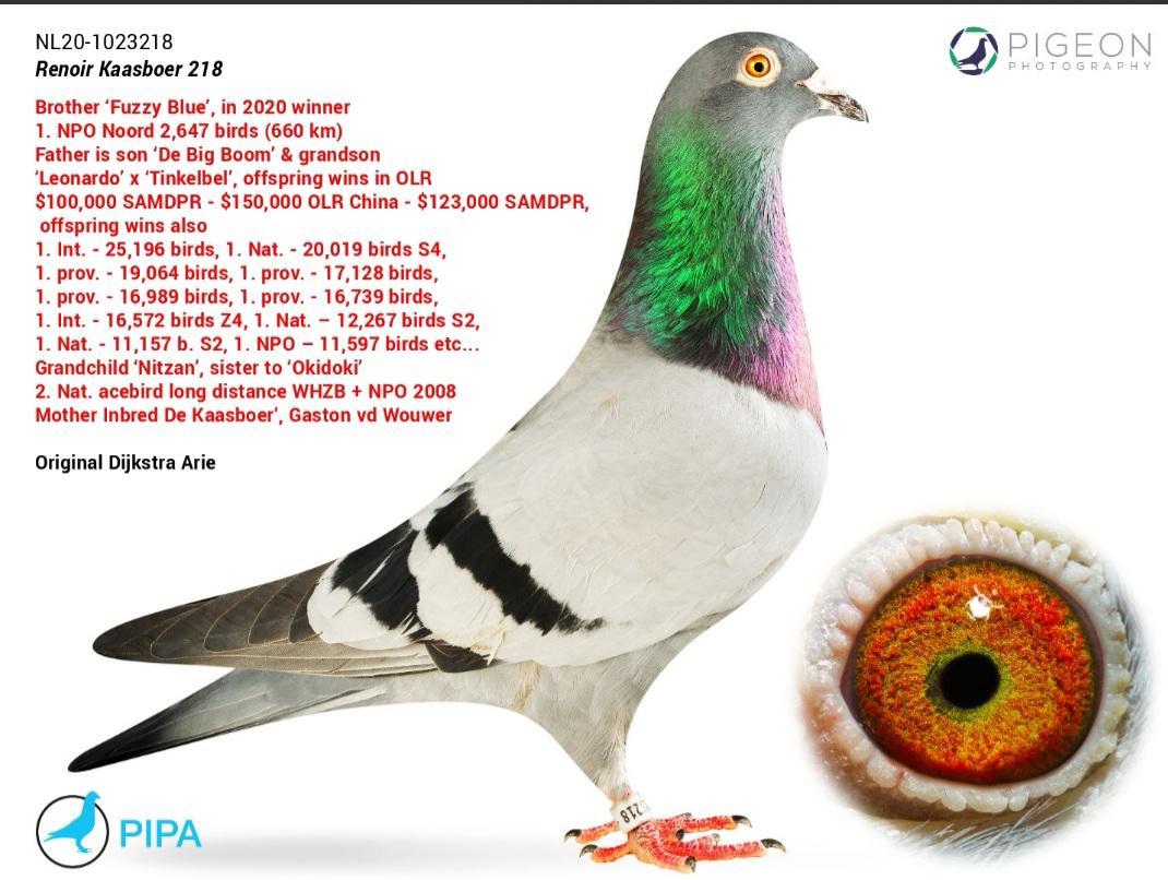 NL-20-1023218 Resmi