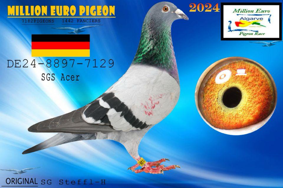DE-24-8897-7129 Resmi