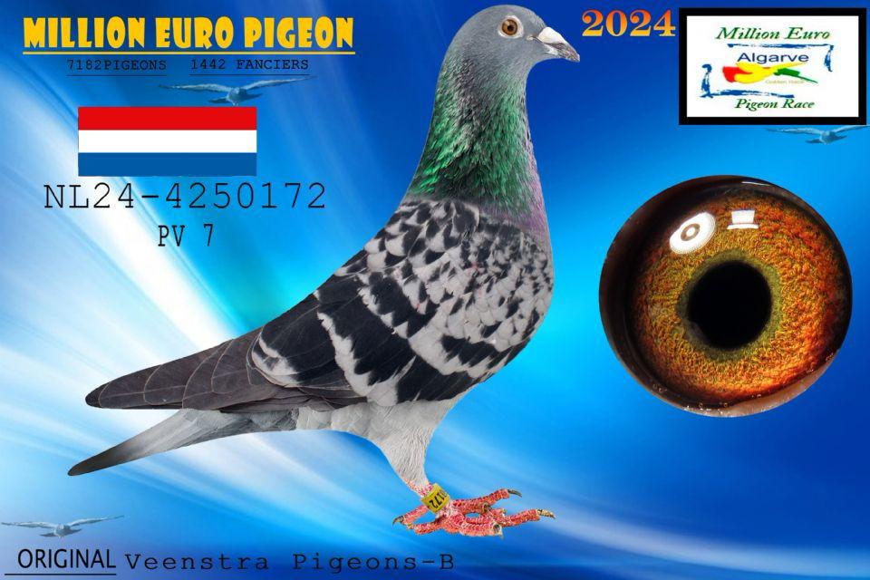NL-24-4250172 Resmi
