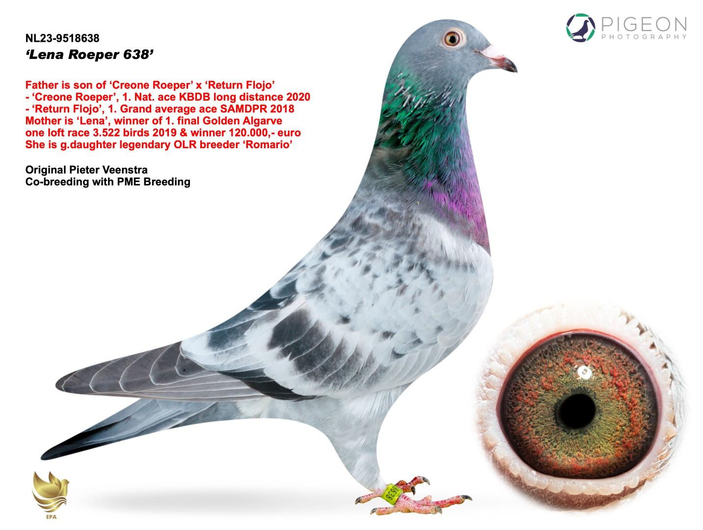 NL-23-9518638 Resmi
