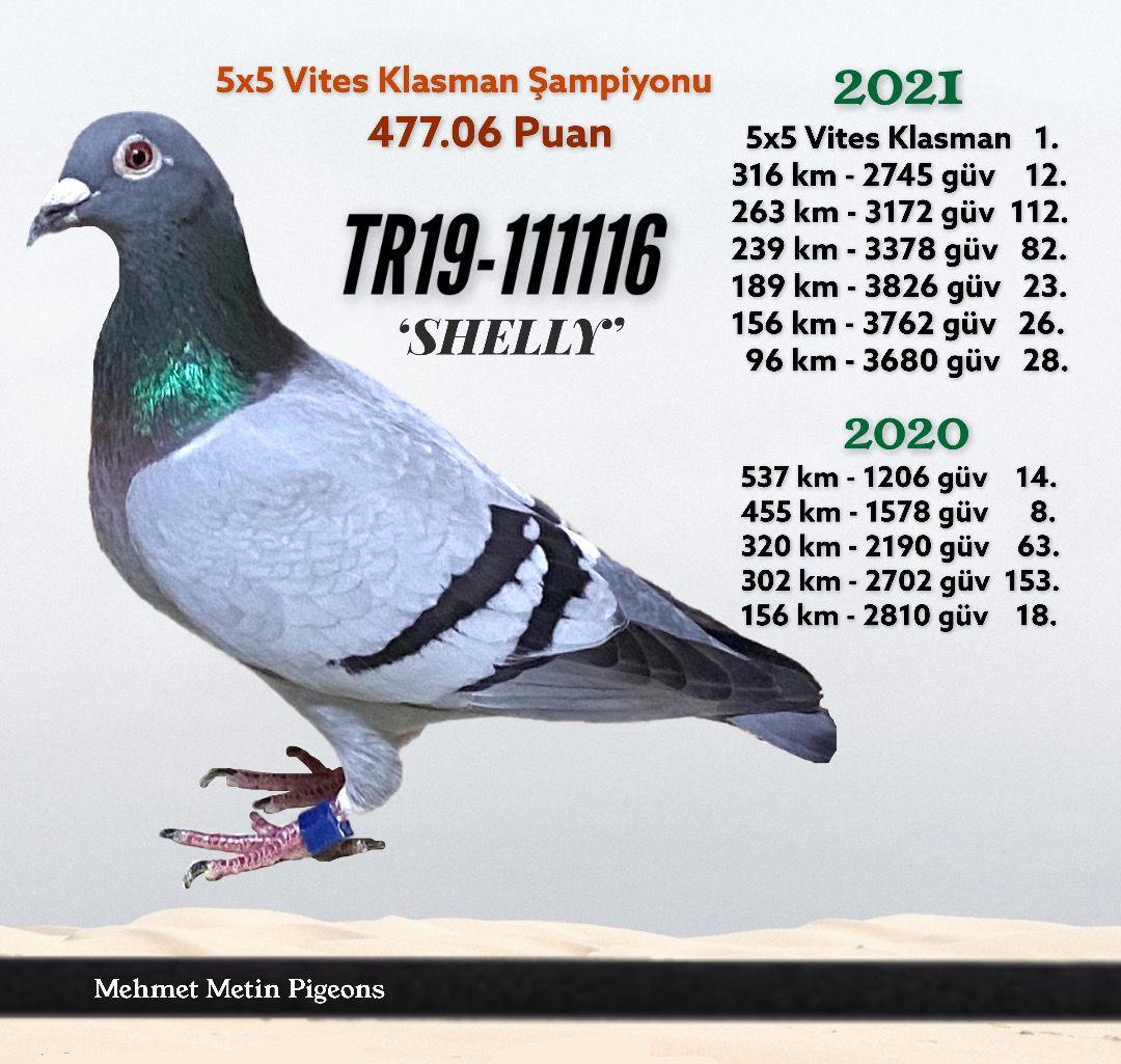 TR-19-111116 Resmi